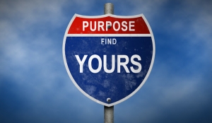 find-your-purpose