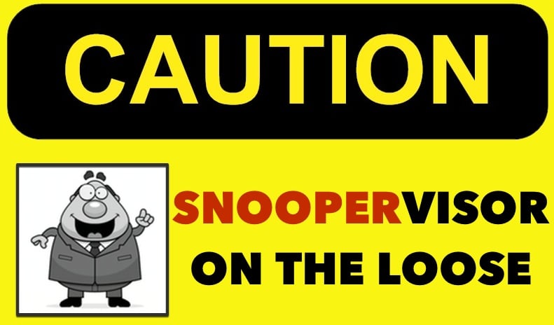 The Snoopervisor
