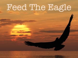 Feed The Eagle