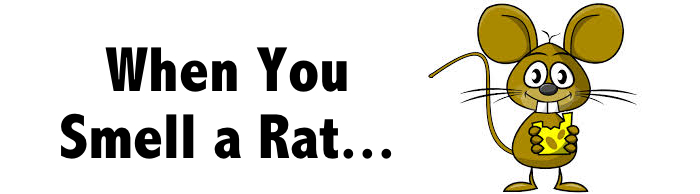 How To Deal with a Rat