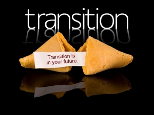 Aren't We All In Transition?